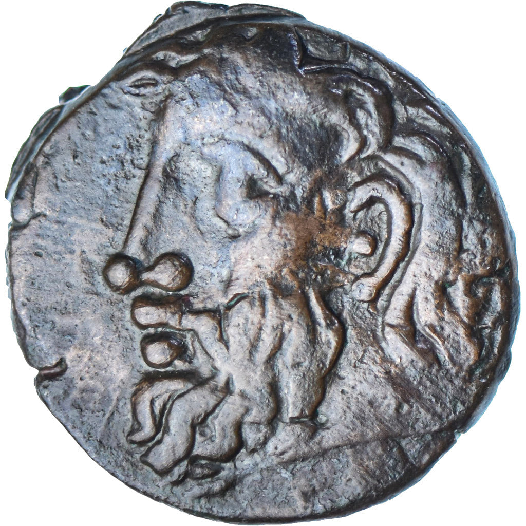 Σαρματία,
Æ,
310-280 π.Χ