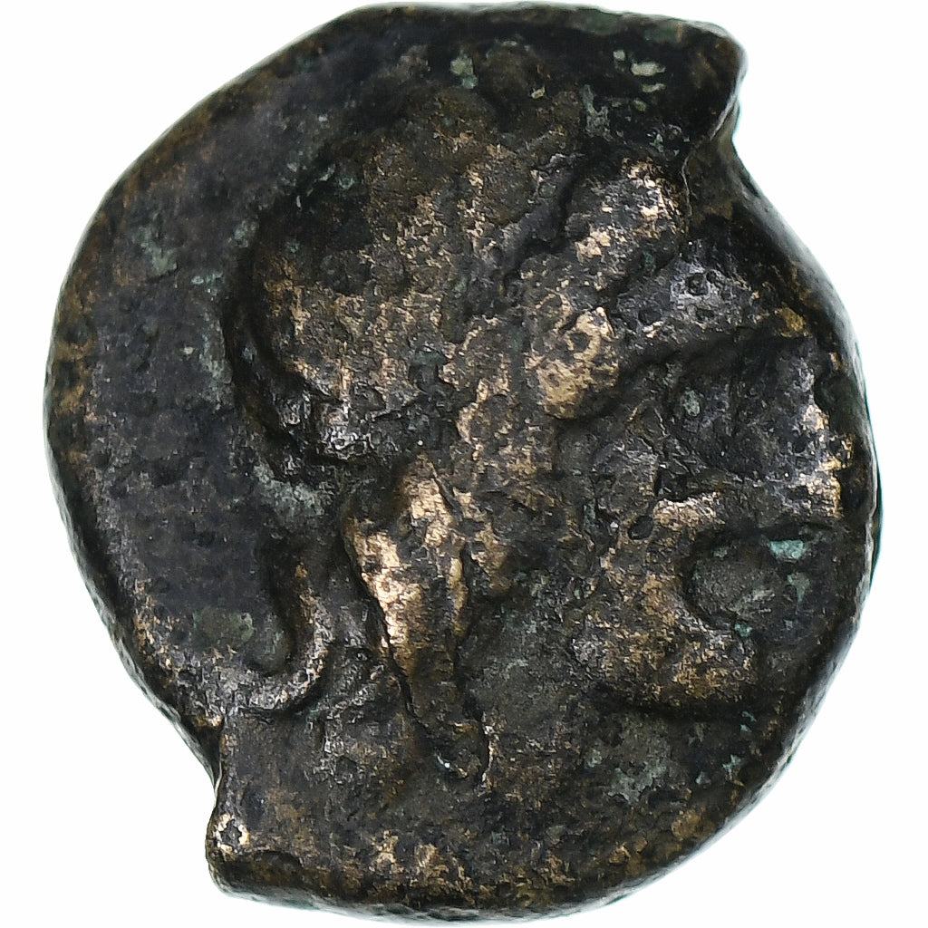 Bruttium,
Χάλκινο Æ,
Κρότο