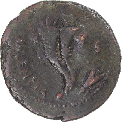 Κέρμα, 
  
  Bruttium, 
  
  Ημιτελής