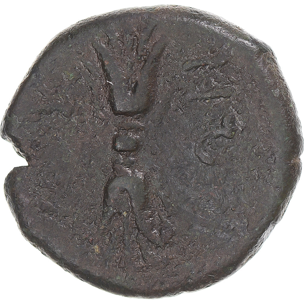 Κέρμα, 
  
  Bruttium, 
  
  Æ