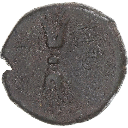 Κέρμα, 
  
  Bruttium, 
  
  Æ