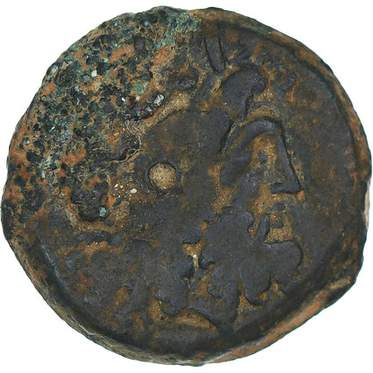 Κέρμα, 
  
  Αίγυπτος, 
  
  Πτολεμαίος VIII