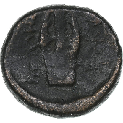 Μακεδόνια, 
  
  Æ, 
  
  187-31 π.Χ