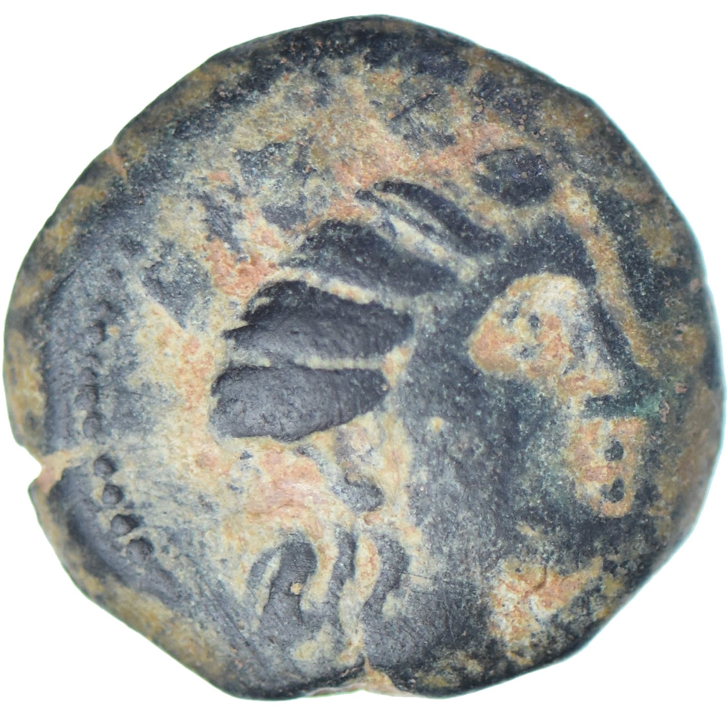 Φοινίκη, 
  
  Æ, 
  
  242-166 π.Χ