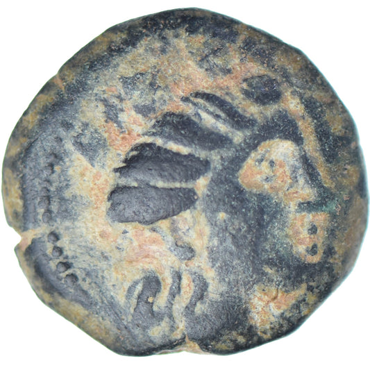 Φοινίκη, 
  
  Æ, 
  
  242-166 π.Χ