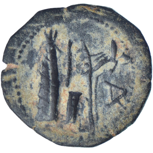 Φοινίκη, 
  
  Æ, 
  
  242-166 π.Χ