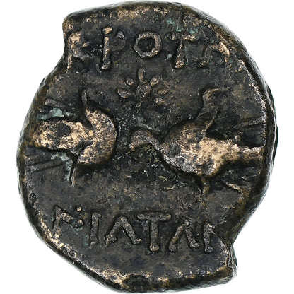 Bruttium, 
  
  Χάλκινο Æ, 
  
  Κρότο