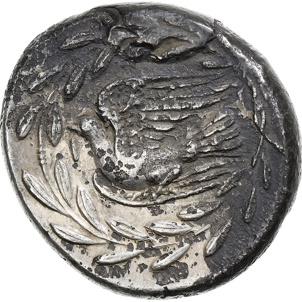 Σικυωνία, 
  
  Στατέρ, 
  
  περ. 335-330 π.Χ